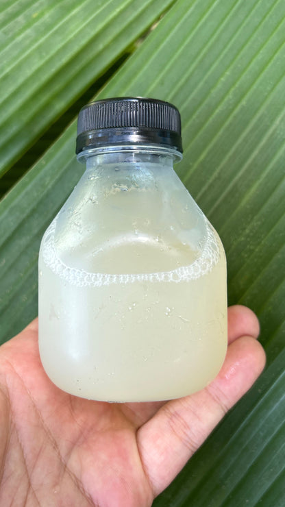 Hawaii Cacao Pulp Nectar by CRAFTRY